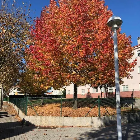 A Coruna Al Lado De La Playa * 巴斯提安吉洛